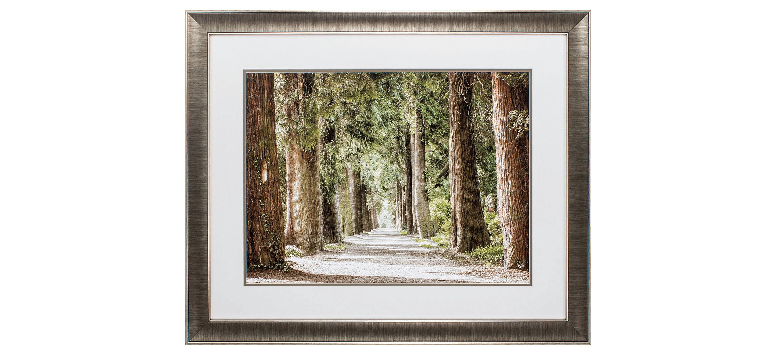 Cypress Path Wall Art