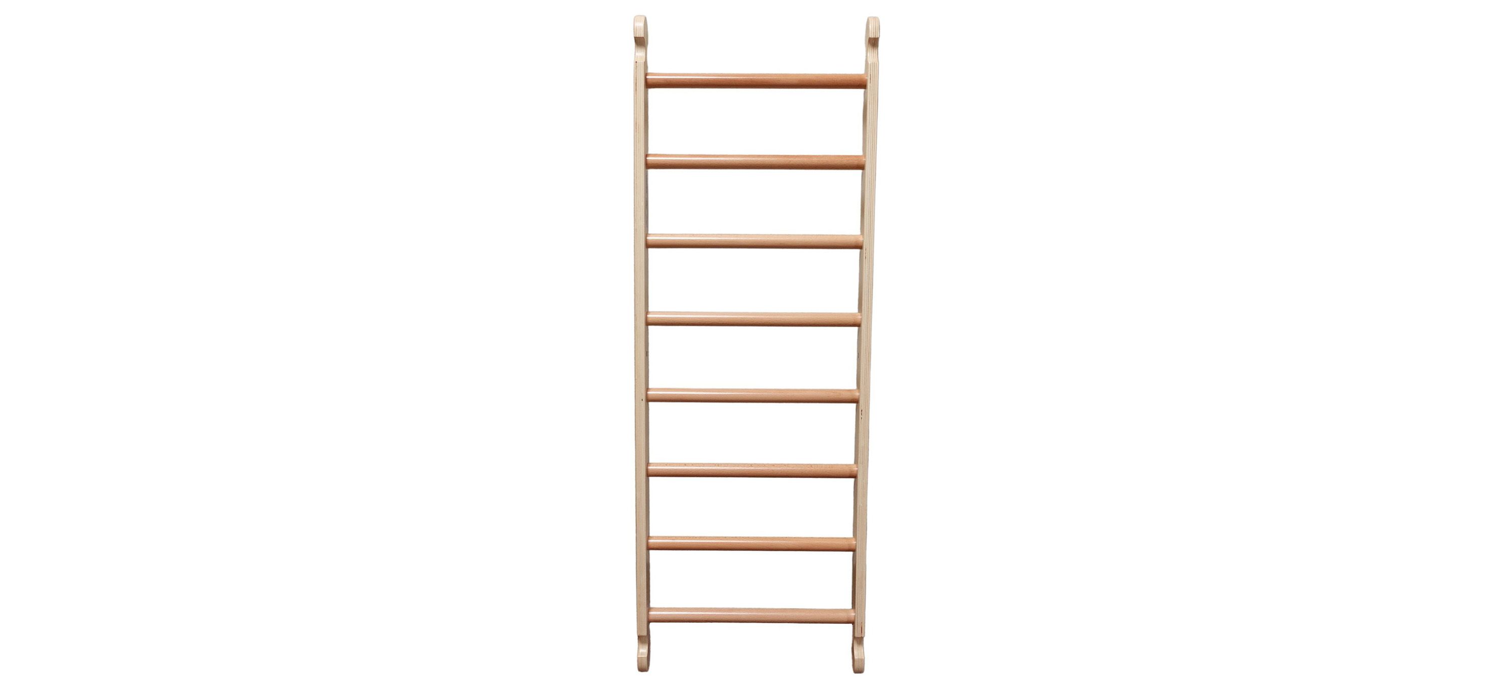 Little Partners Climbing Ladder