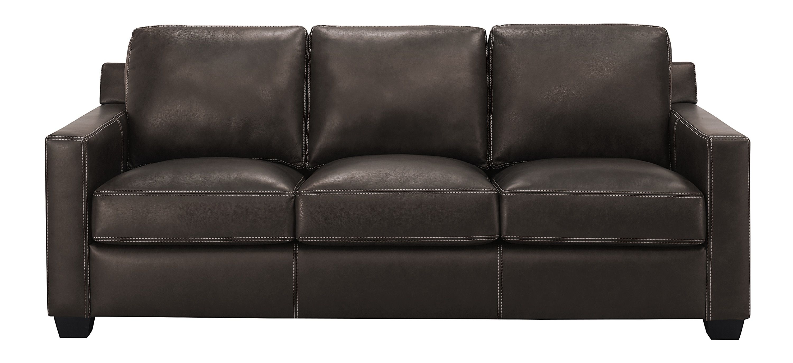 Anaheim Leather Queen Sleeper Sofa