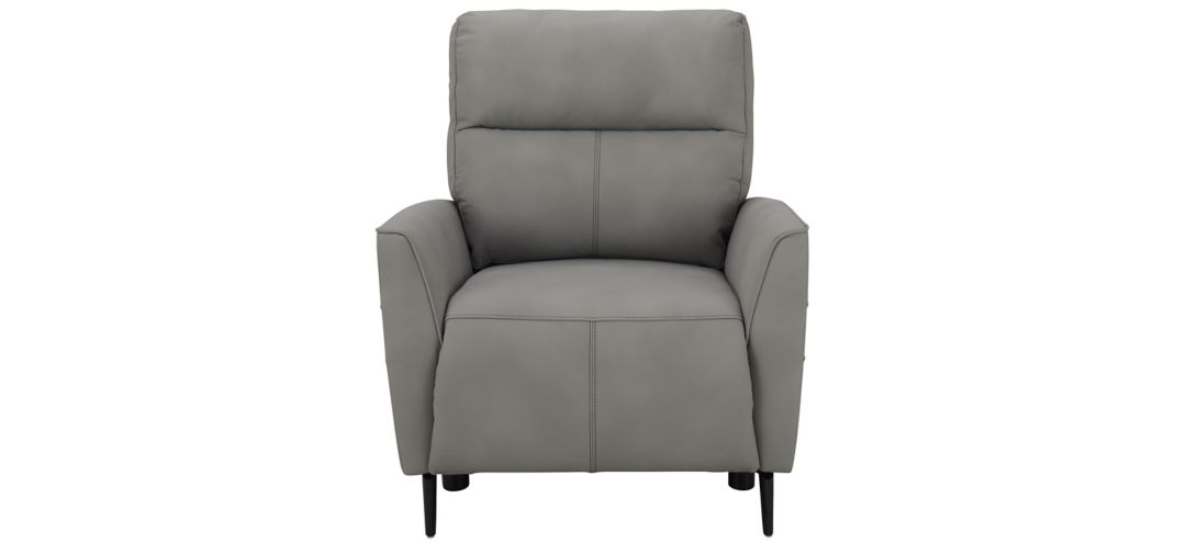 Delilah Power Recliner w/Power Headrest