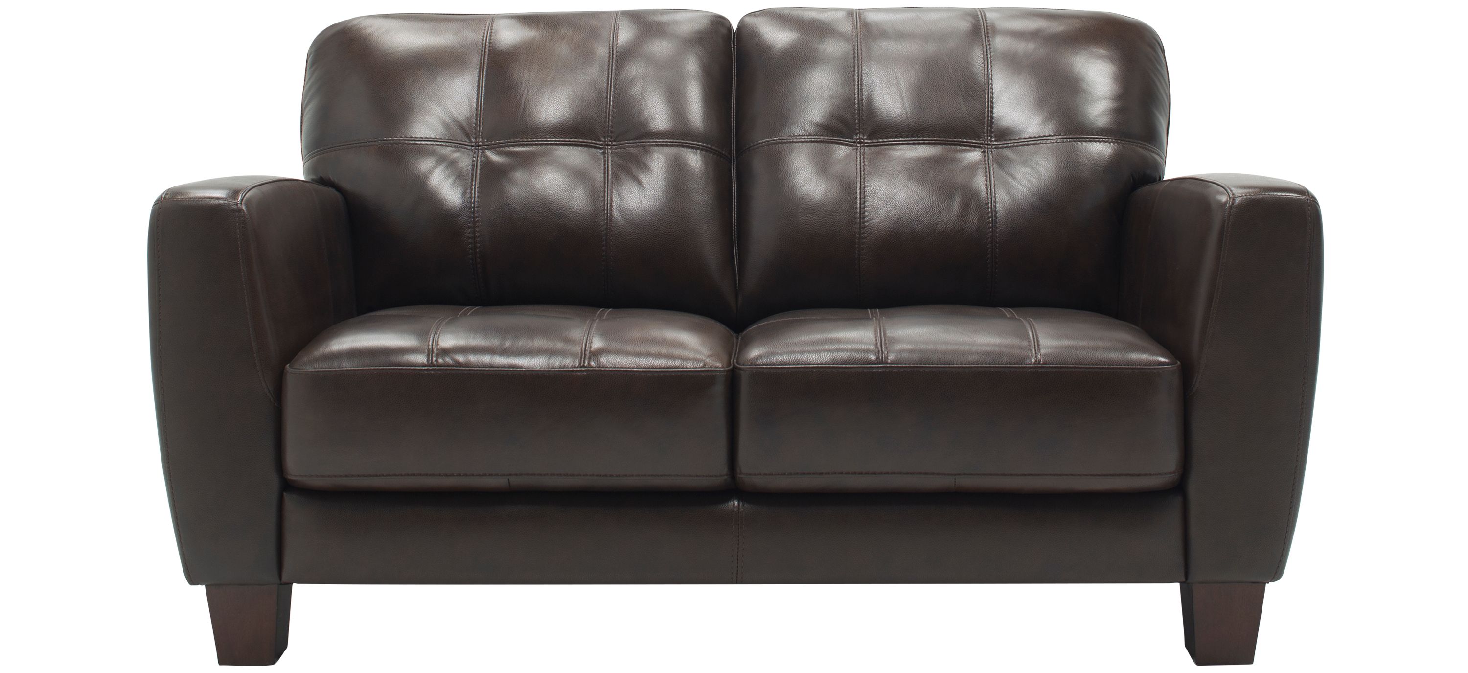 Gino Leather Loveseat