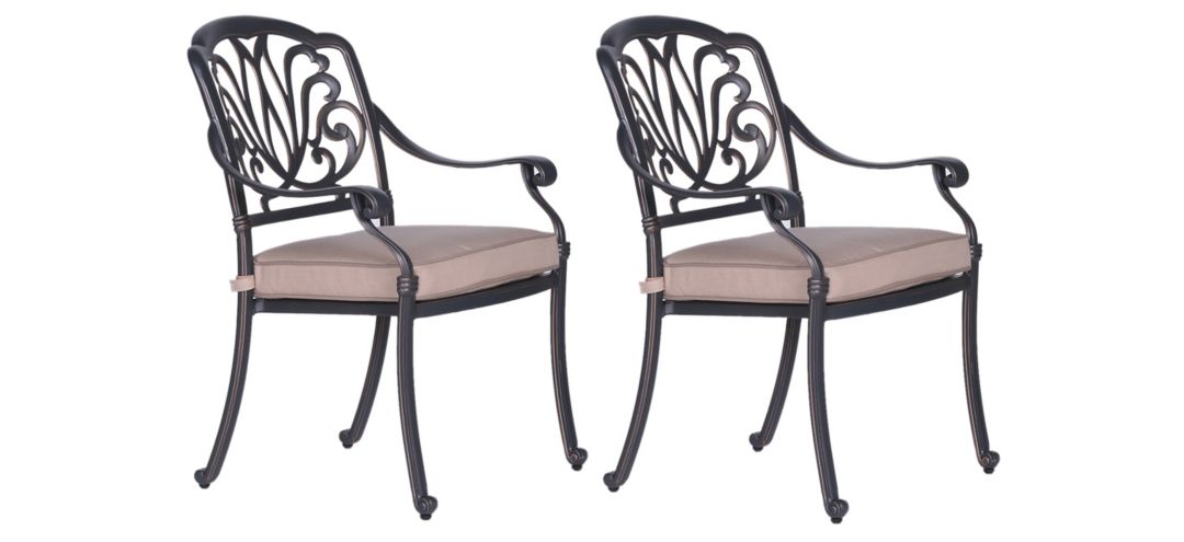 297135460 Geneva Outdoor Arm Chair, Set of 2 sku 297135460