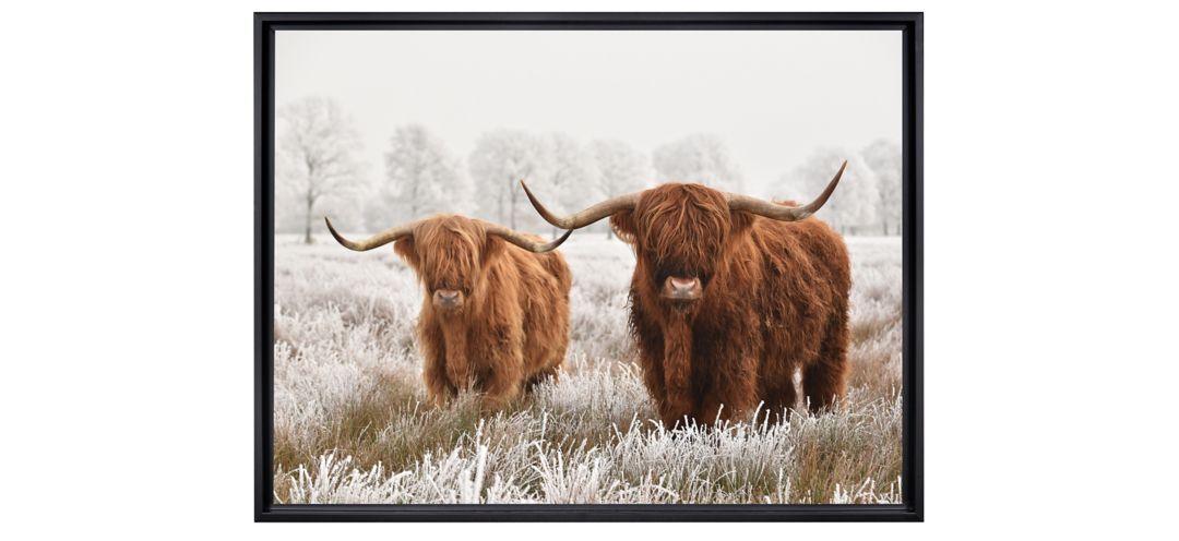 Stratton Highland Cattle Canvas Wall Art
