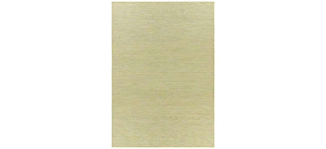 170323370 Pasadena Sage Indoor/Outdoor Area Rug sku 170323370