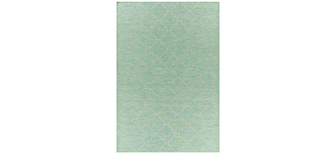 170323460 Pasadena Sage Indoor/Outdoor Area Rug sku 170323460