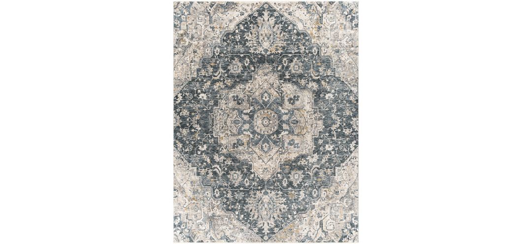 171313750 Caerdyf Newcastle Area Rug sku 171313750