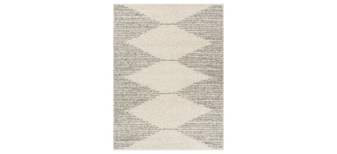 Taza Shag Rug