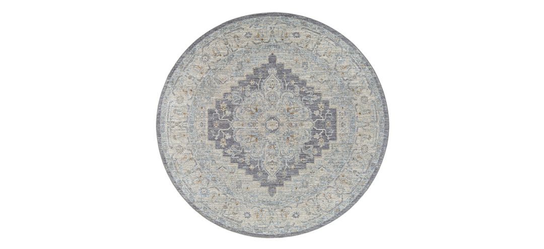 176028821 Susie Area Rug sku 176028821