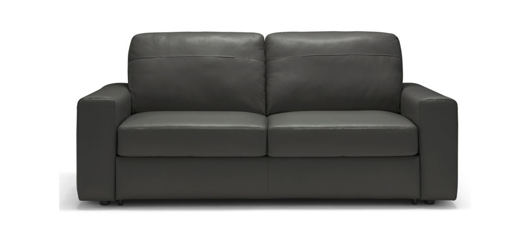 Divine Leather Sofa Sleeper