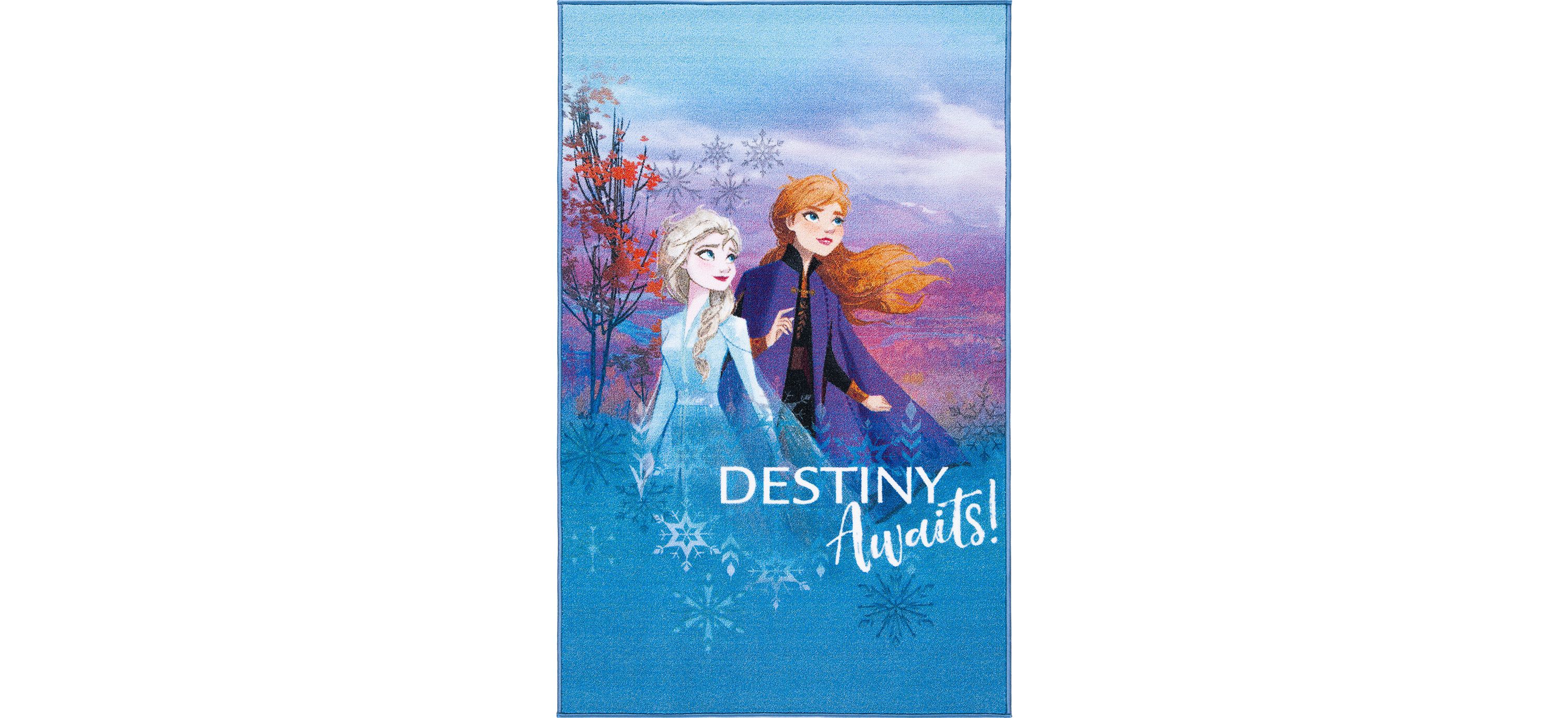 Disney Frozen 2 Area Rug