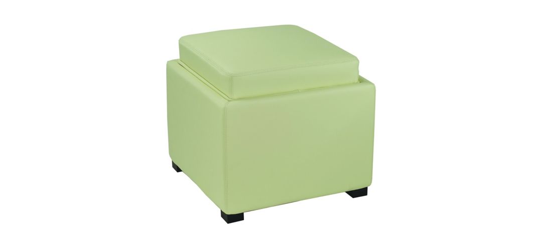 213396450 Sherri Ottoman sku 213396450