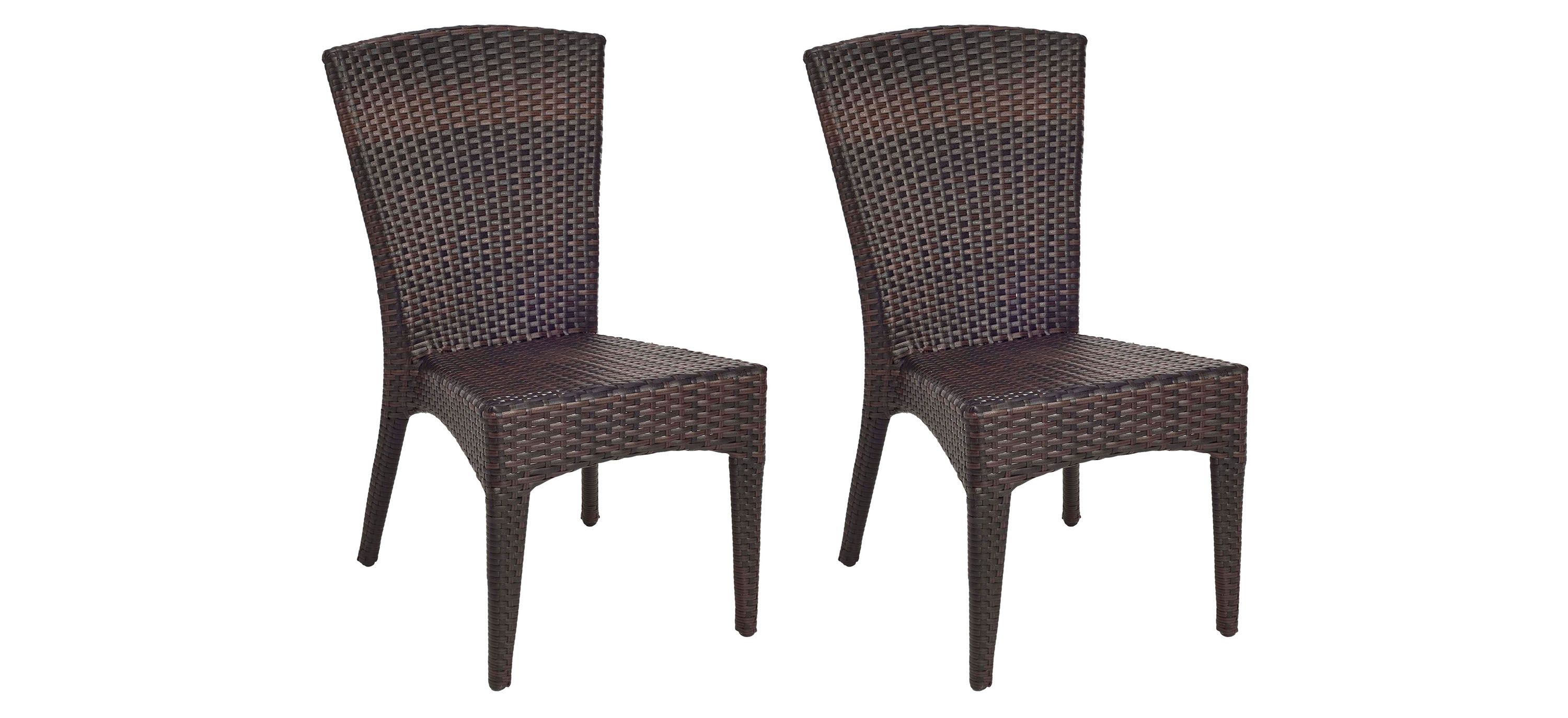 Holden Outdoor Wicker Side Chair