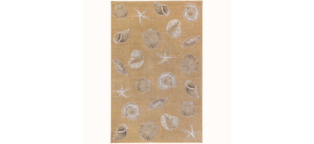 Carmel Indoor/Outdoor Rug