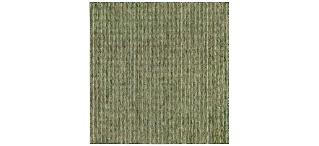 Carmel Indoor/Outdoor Rug