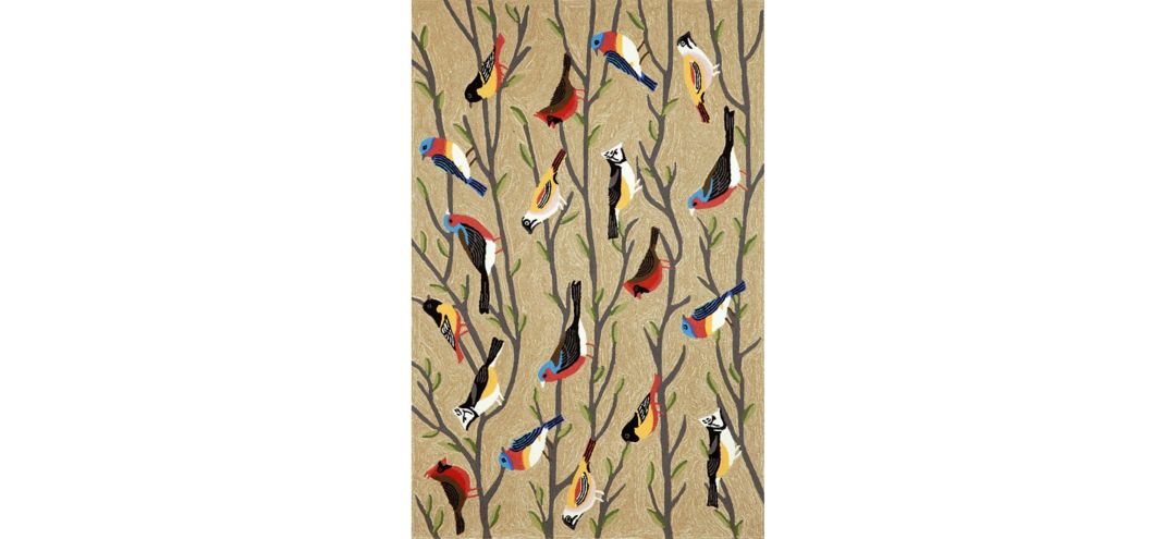 Frontporch Birds Indoor/Outdoor Area Rug