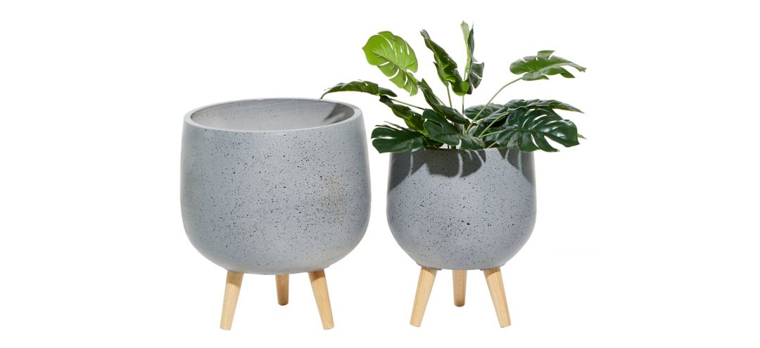 Ivy Collection Mispillion Planter Set of 2