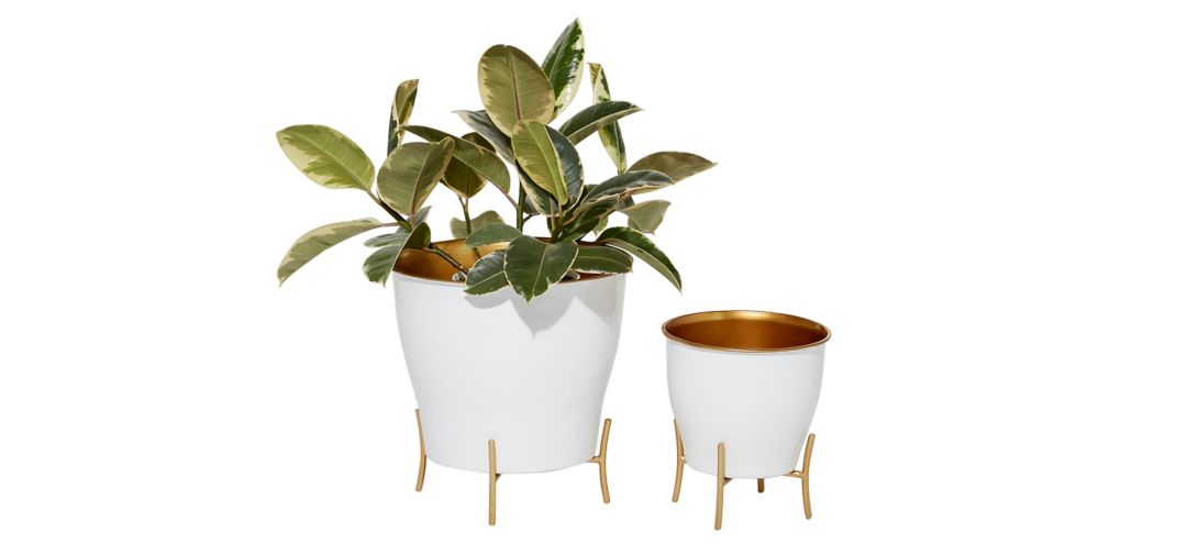 Novogratz Goodall Planter Set of 2