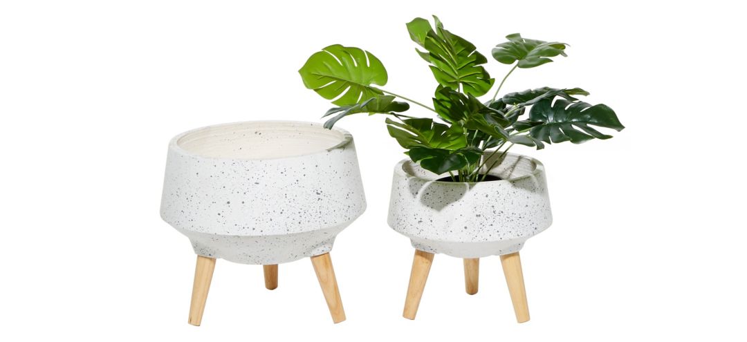 Ivy Collection Conductor Planter Set of 2