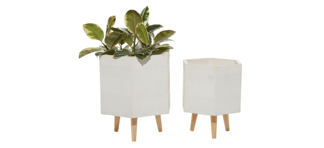 Ivy Collection Wyvernwoode Planter - Set of 2