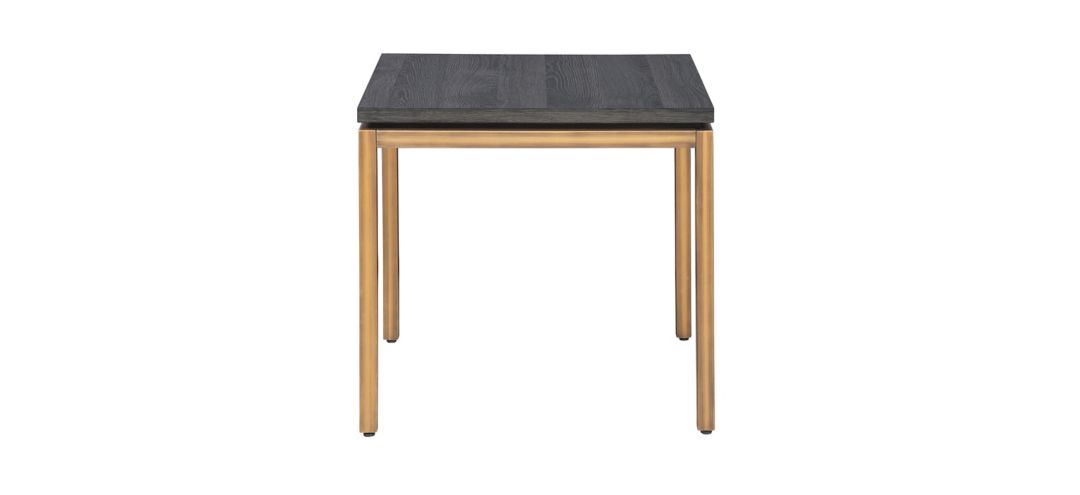 307267760 Lucius End Table sku 307267760
