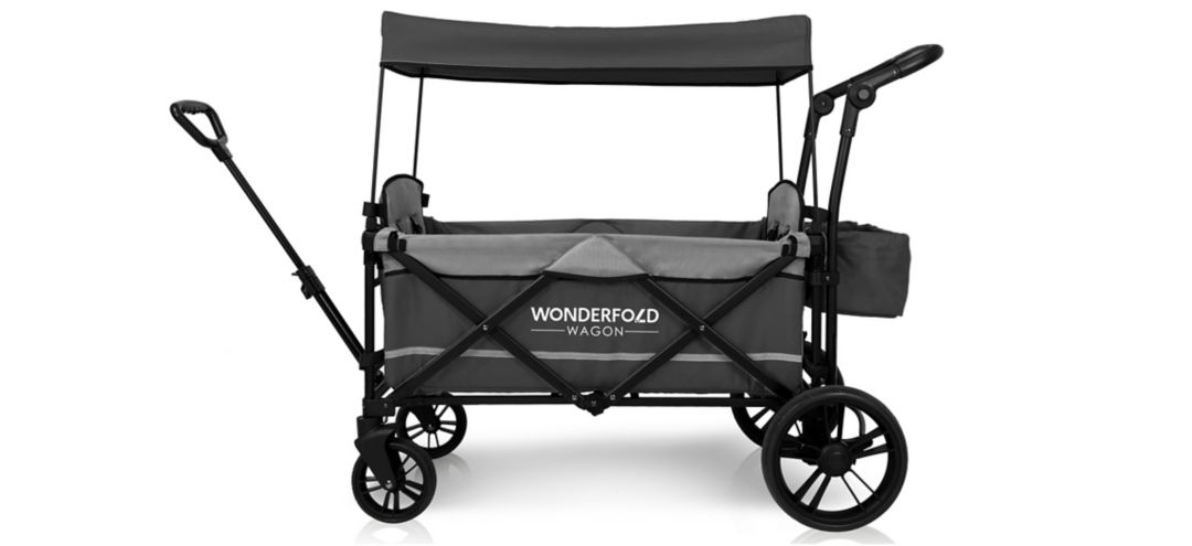 Push and Pull Double Stroller Wagon
