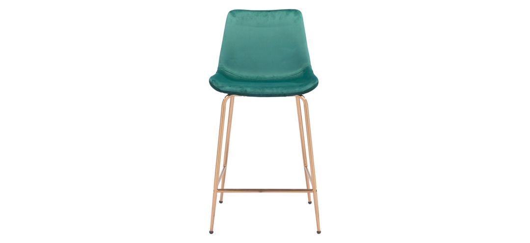 Tony Counter-Height Stool