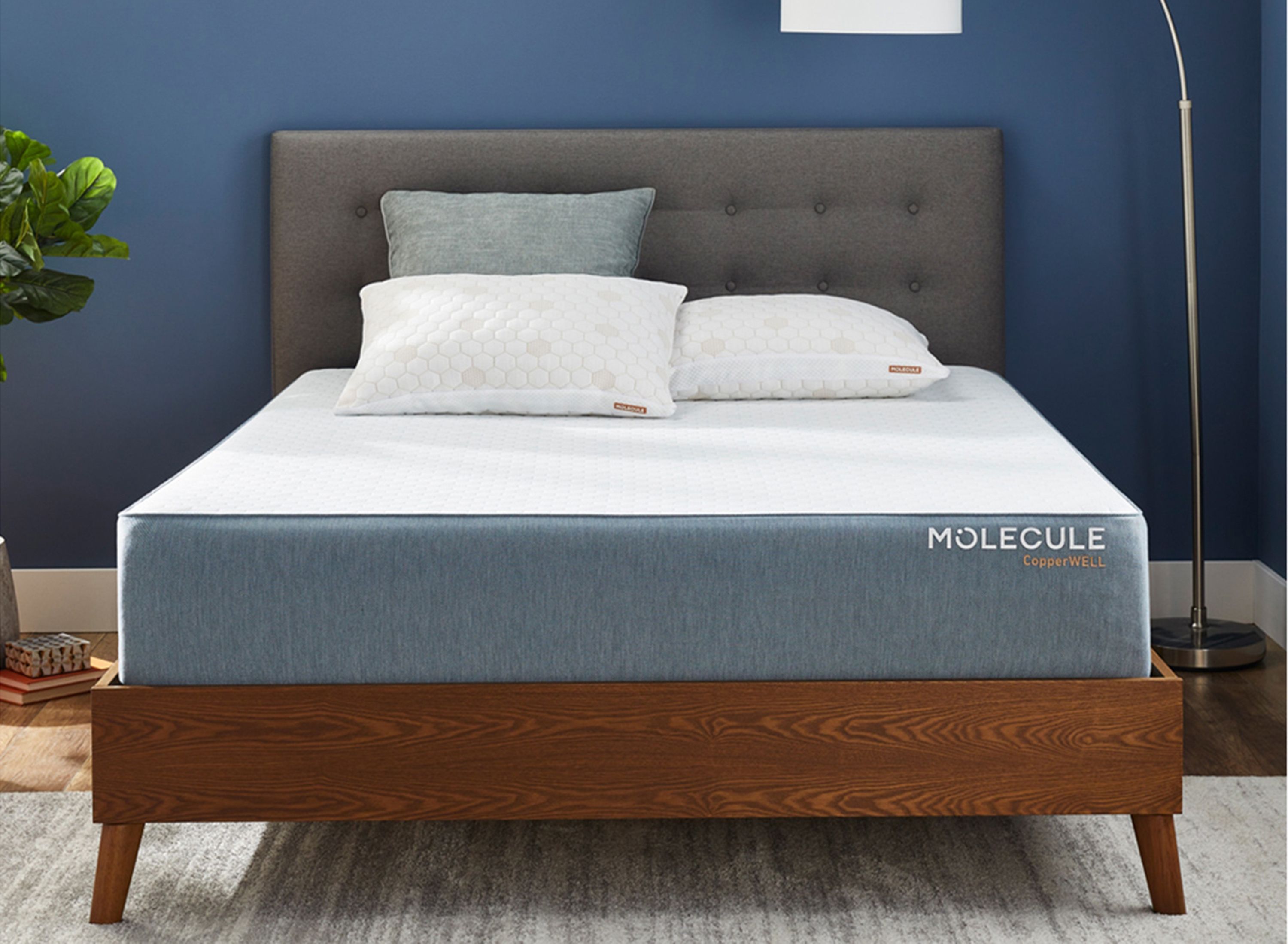 Molecule Mattress Topper Review 2023