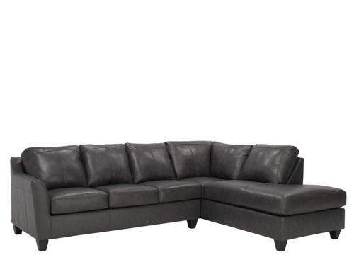 Montero Leather 2 Pc Sectional, Deco Shale Leather Sofa