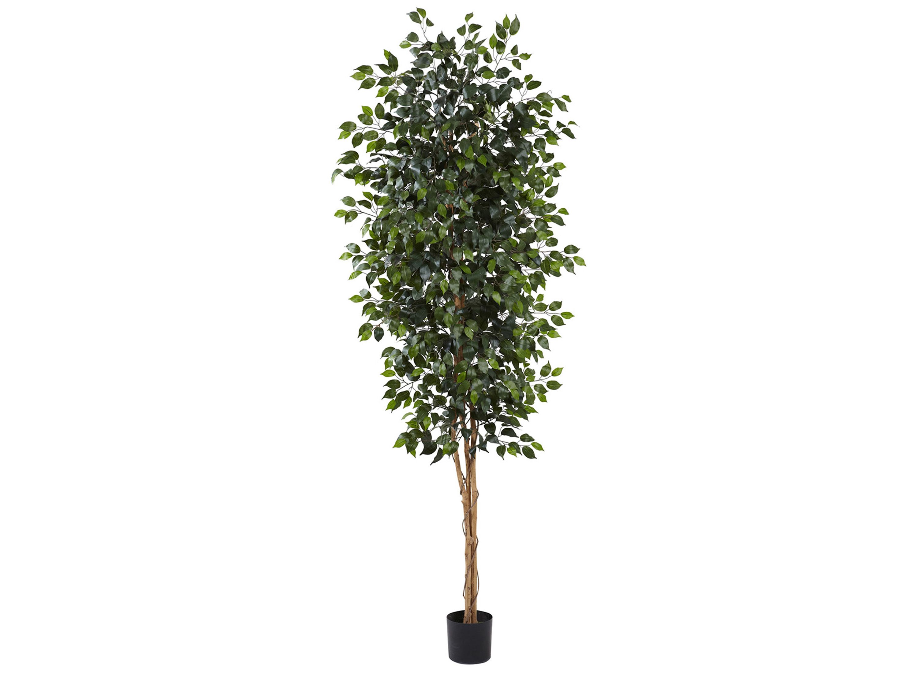 Ficus Artificial Tree | Raymour & Flanigan | Raymour & Flanigan