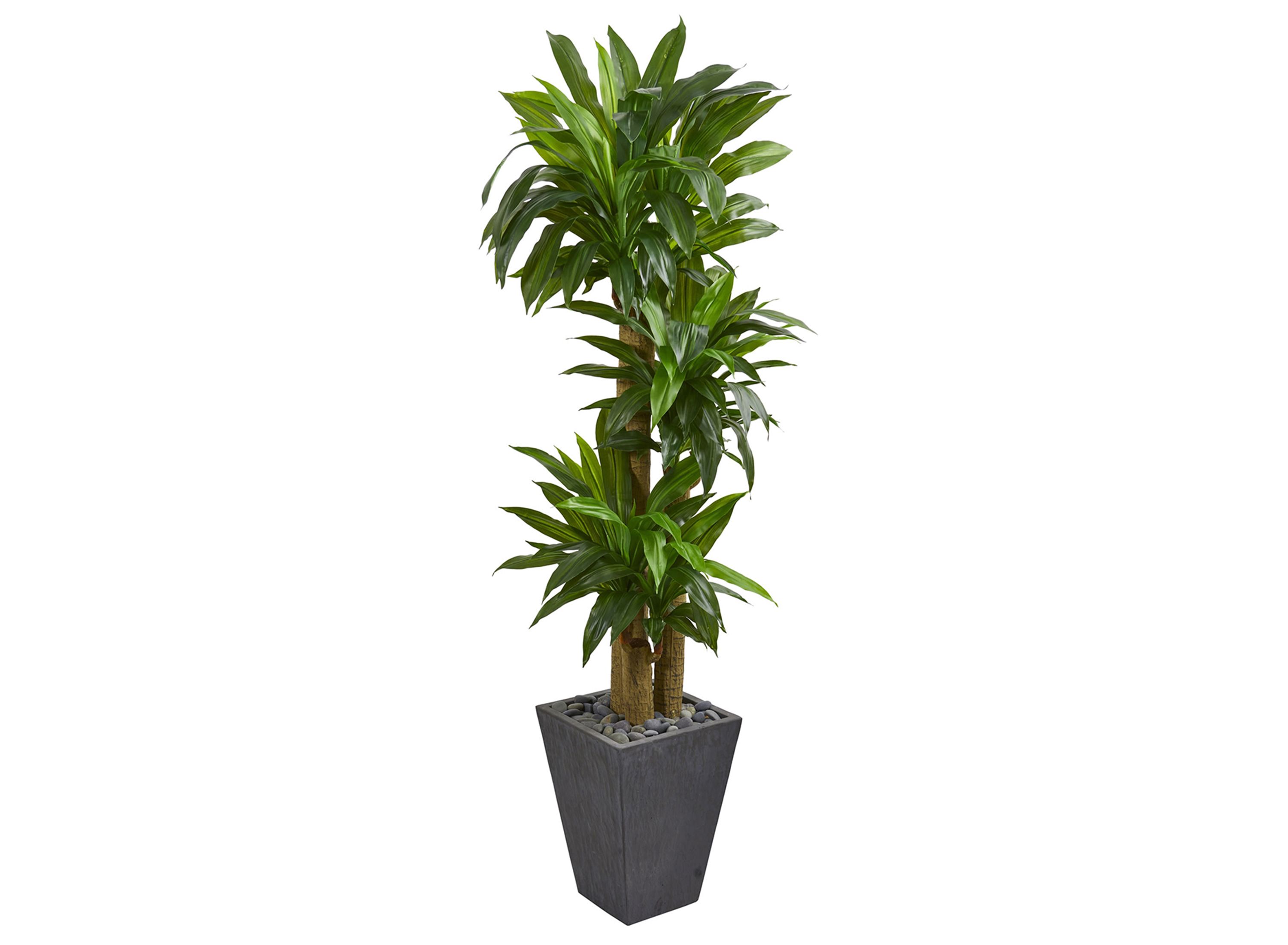 Cornstalk Dracaena Artificial Plant in Slate Planter | Raymour & Flanigan