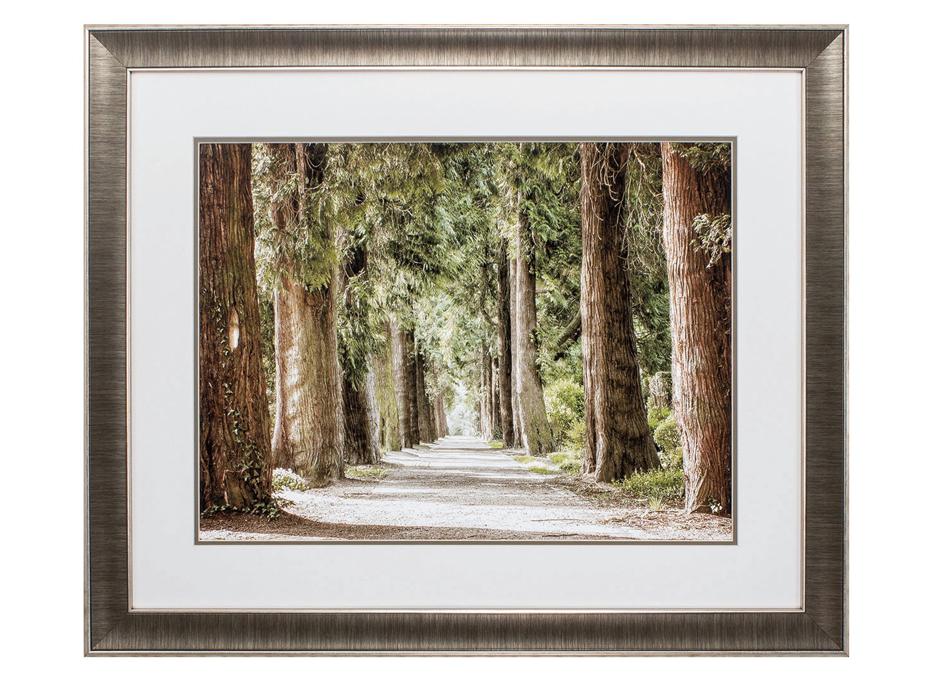 Cypress Path Wall Art | Raymour & Flanigan