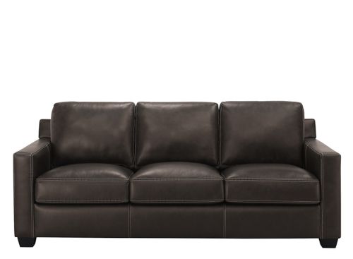 Anaheim Leather Queen Sleeper Sofa, Raymond And Flanigan Leather Sofa Bed