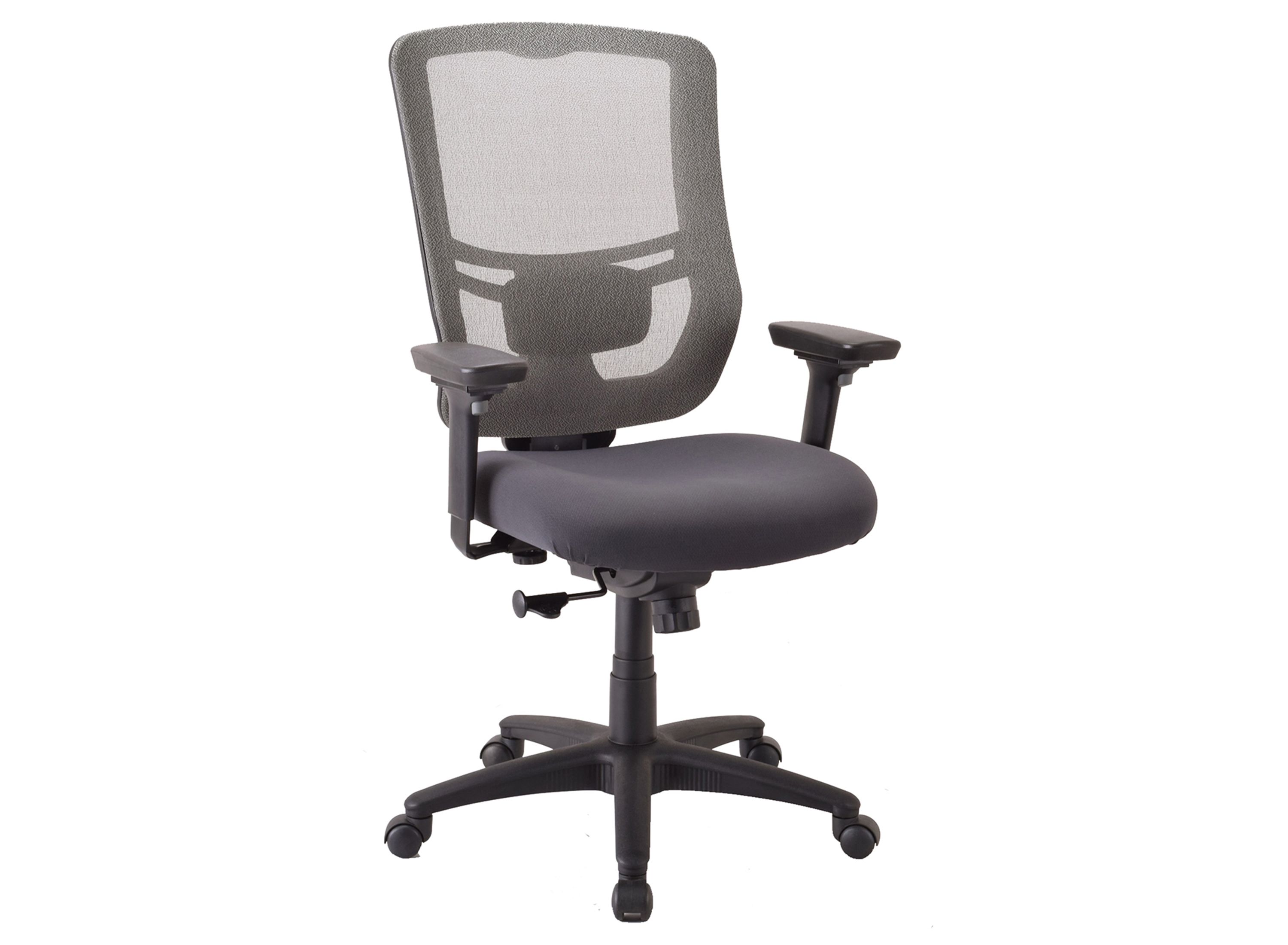 TempurPedic Mesh Back Home Office Chair Raymour & Flanigan