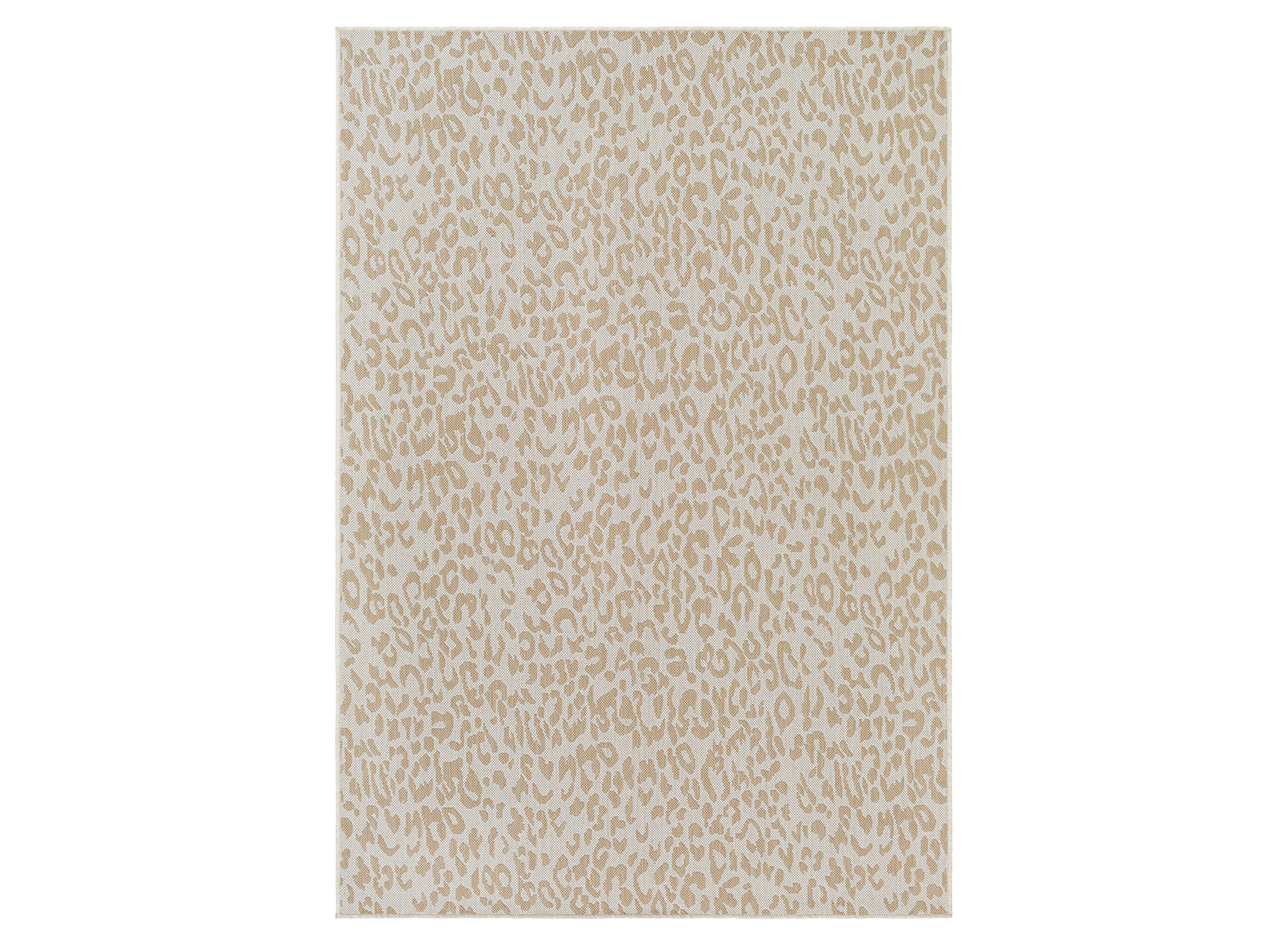 Malibu Leopard Indoor/Outdoor Area Rug | Raymour & Flanigan