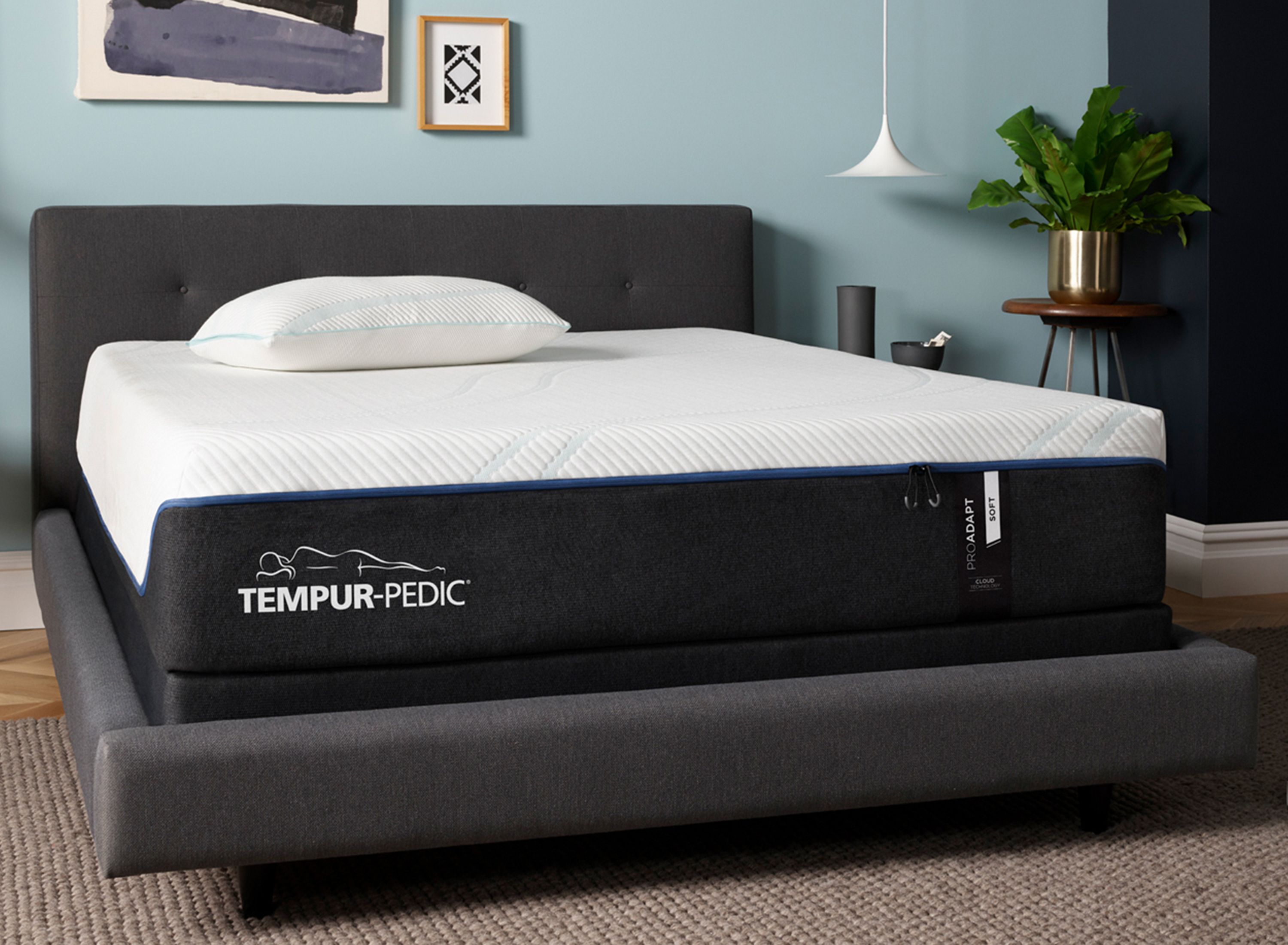 Tempur-Pedic TEMPUR-ProAdapt Soft Memory Foam Queen Mattress | Raymour ...